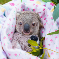 kassidyduncan-a3781347